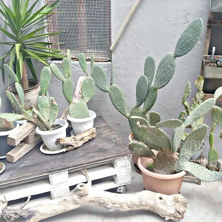 Appartement Elenas Rhodes City